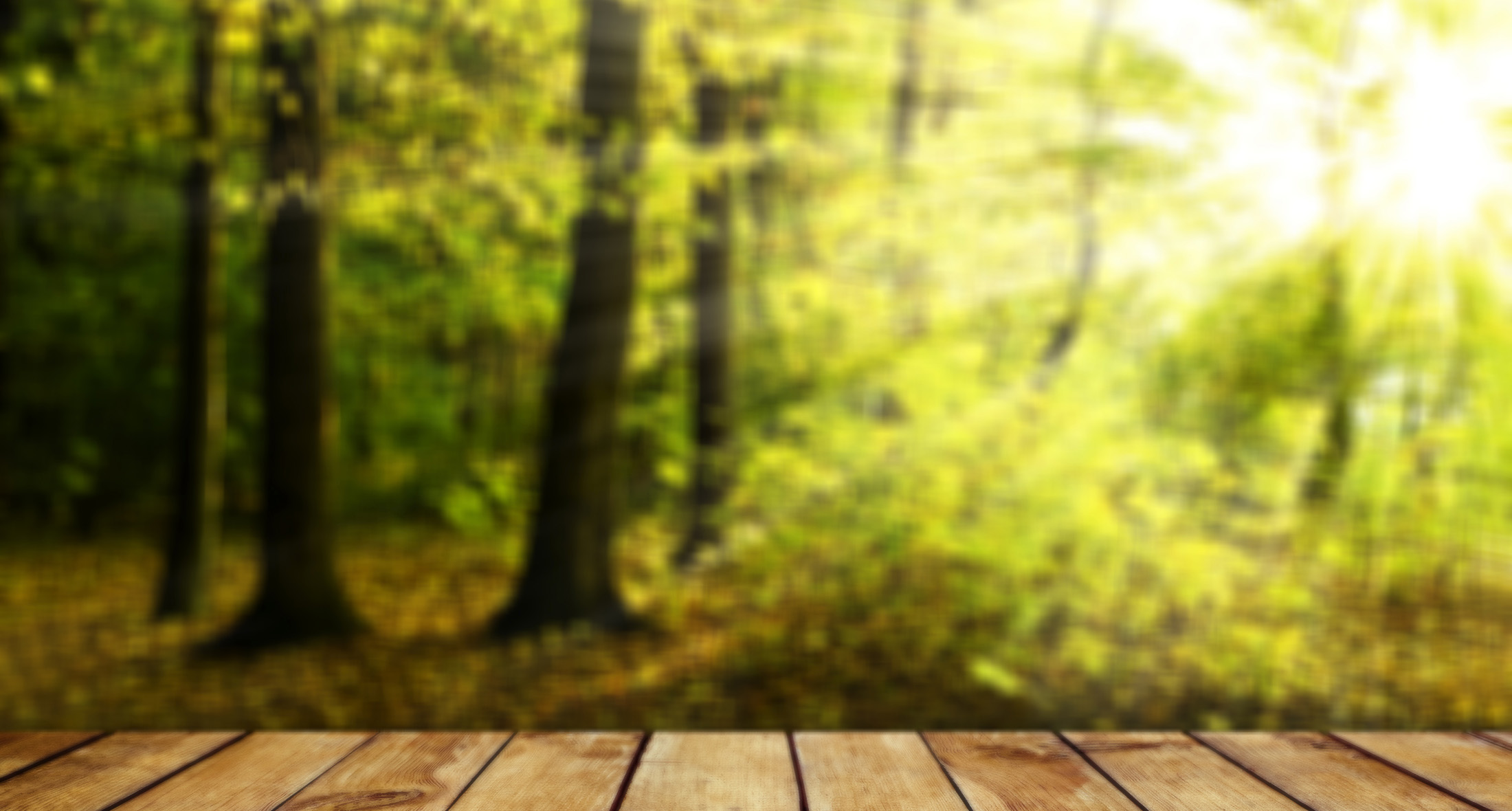nature11.jpg